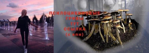 ALPHA PVP Вяземский