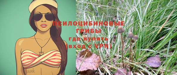 ALPHA PVP Вяземский