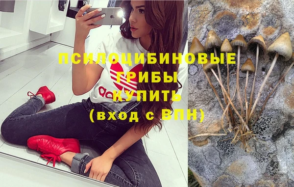 герыч Вязники
