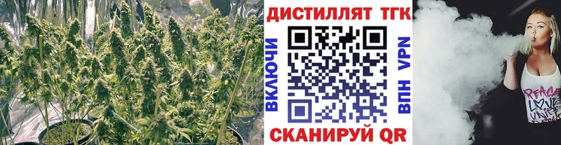 площадка Telegram  цена наркотик  Новороссийск  Дистиллят ТГК вейп с тгк 
