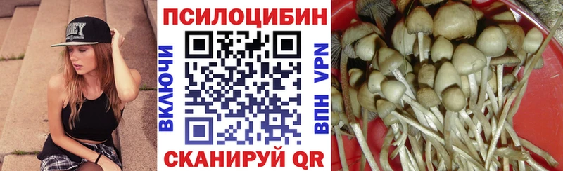 магазин  наркотиков  Новороссийск  Галлюциногенные грибы мицелий 