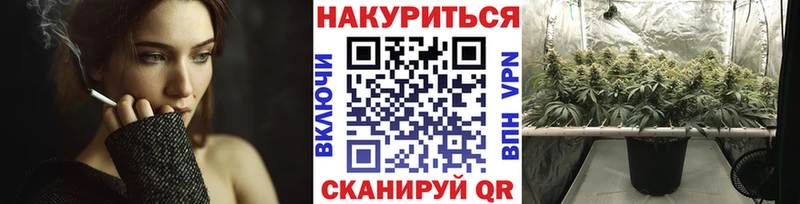 Канабис индика Новороссийск